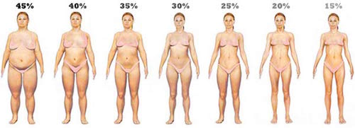 body-fat-levels-women21-1