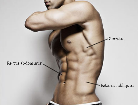 exercise-for-the-obliques