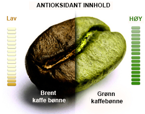 green-coffee-infographic