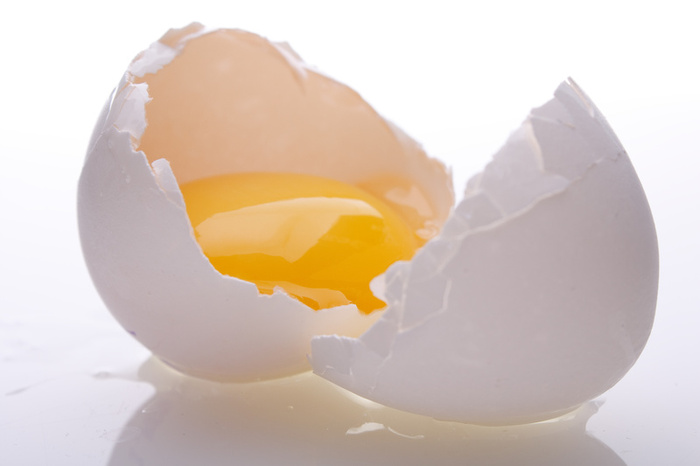 knust-egg