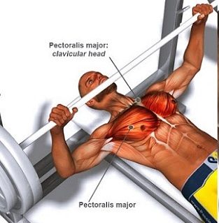How-to-Bench-Press