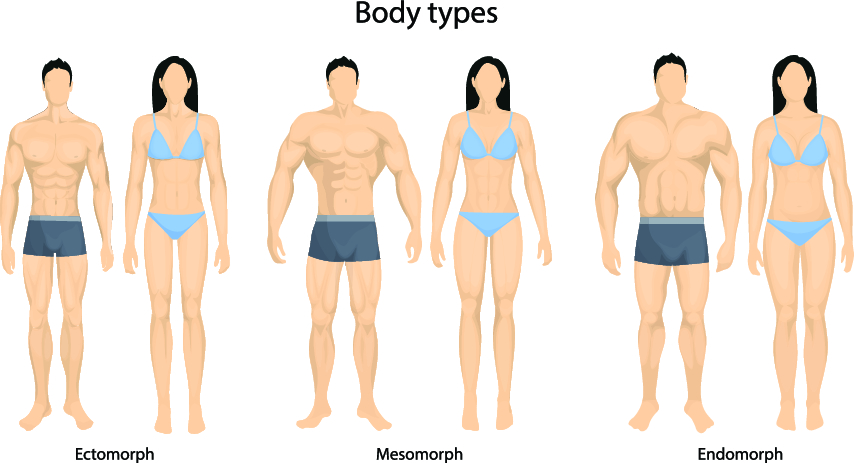 ulike kroppstyper