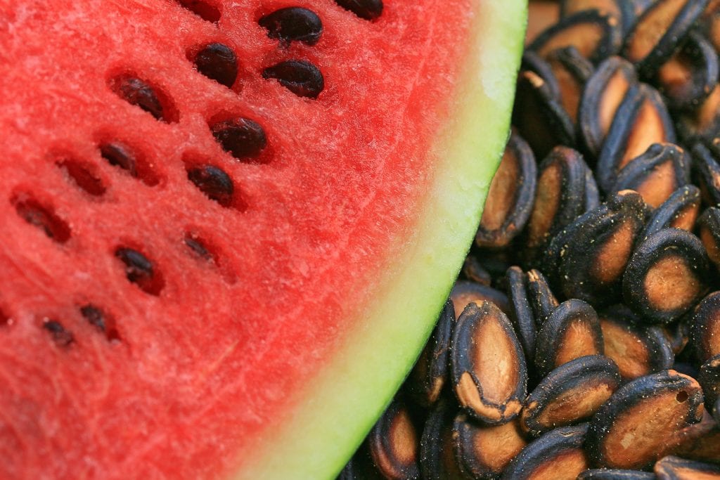 vannmelon frø sunt