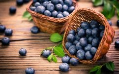 blåbær sunt antioksidant blodtrykket